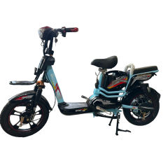 Xe Đạp Điện G10