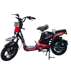 Xe Đạp Điện S11