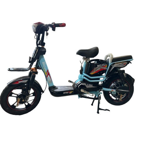 Xe Đạp Điện G10