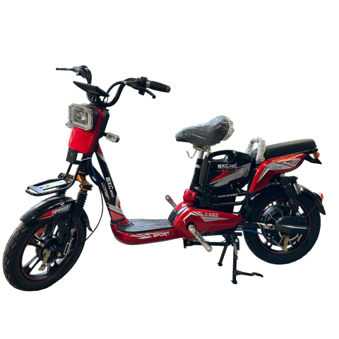 Xe Đạp Điện S11